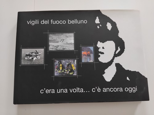 Vigili del fuoco belluno - vigili,