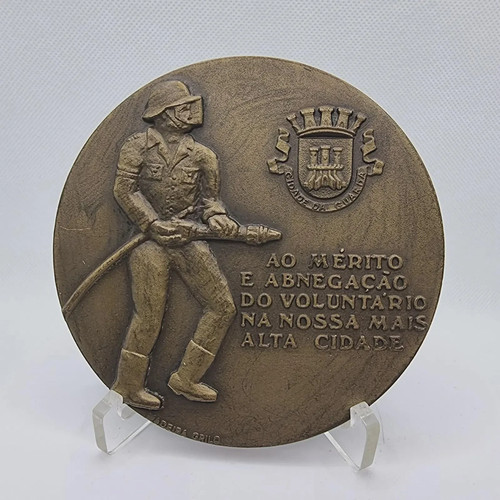 Medaglia bronzo vigili - medaglia,