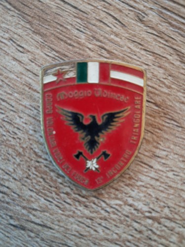 Spilla incontro vigili - incontro,